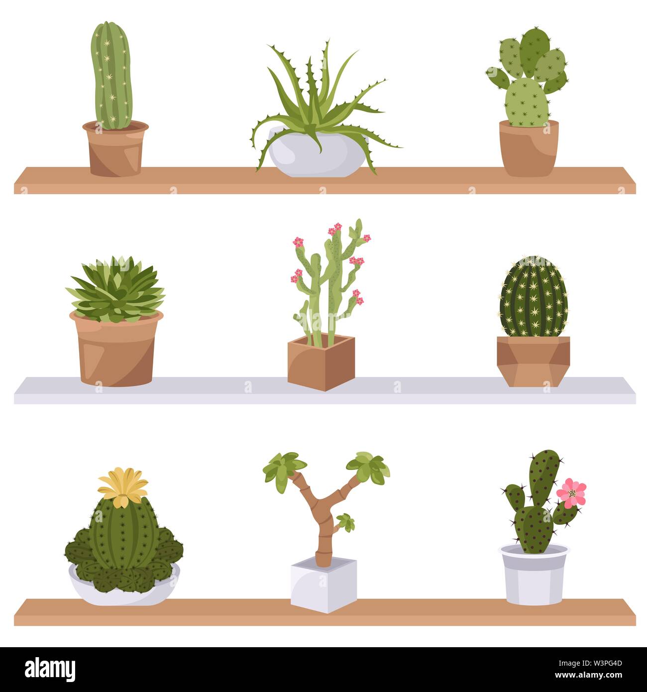 Cactuses and succulents icon set. Houseplants. Vector illustration Stock Vector