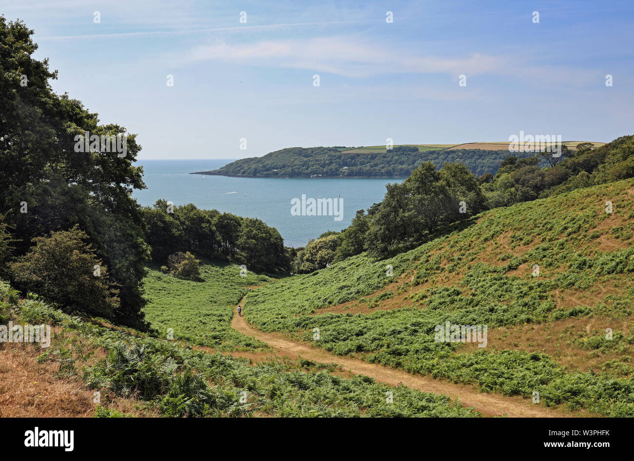 Path leading towards Cawsand Bay at Deer Park on the Mount Edgcumbe