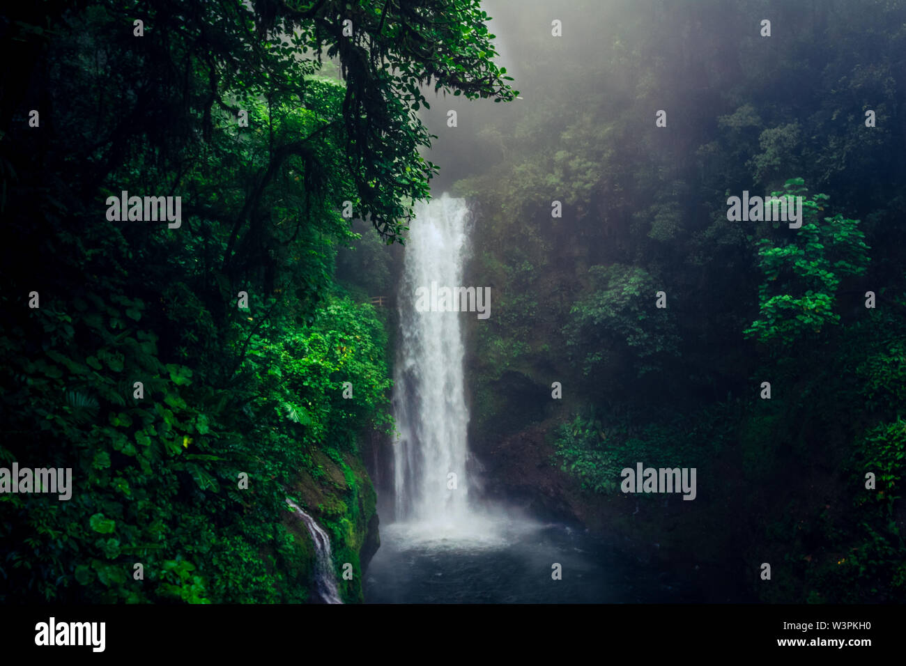 Beautiful and wild waterfall in the middle of the green jungle in Costa Rica. Stock Photo