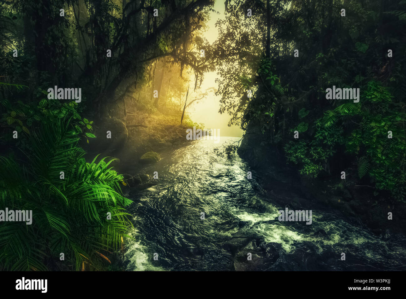 Scenic view on the river by the waterfall cliff in the green rain forest and sun ray dropping just by the edge. Stock Photo