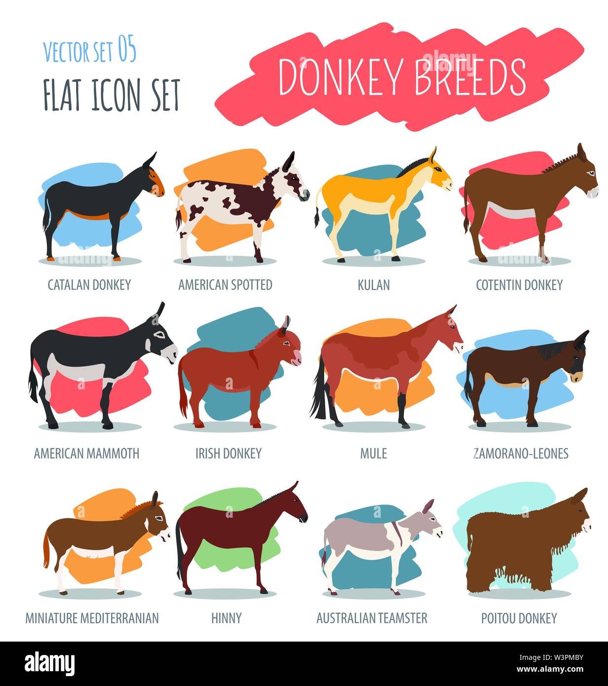 Donkey breeds icon set. Animal farming. Flat design. Vector ...