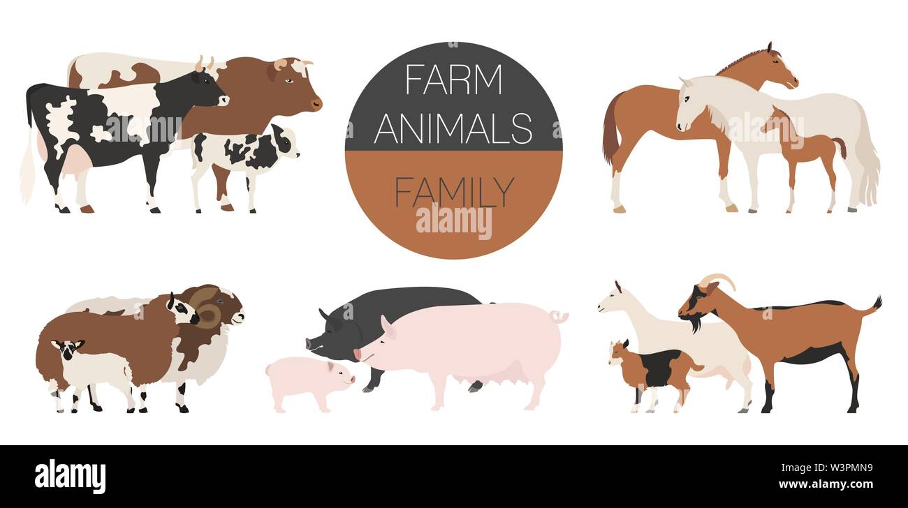 Farm animall family collection. Cattle, sheep, pig, horse, goat icon set. Flat design. Vector illustration Stock Vector