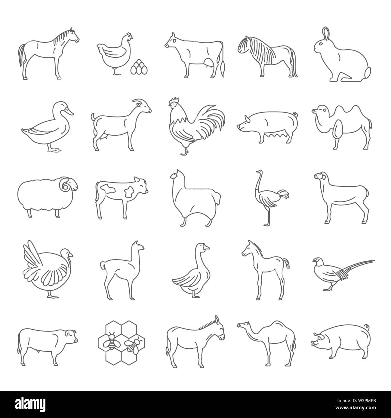 Farm animal thin line collection. 25 icon set. Flat design. Vector illustration Stock Vector