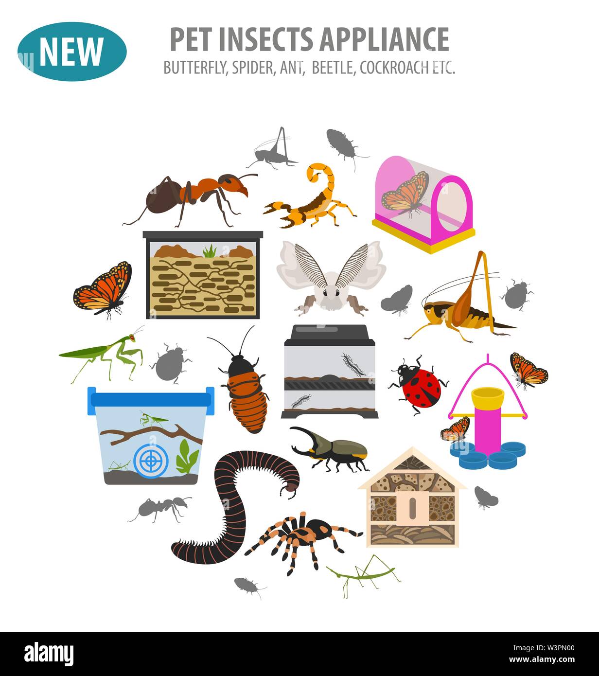 Pet appliance icon set flat style isolated on white. Insects care collection. Create own infographic about beetle, bug, butterfly, stick, mantis, spid Stock Vector