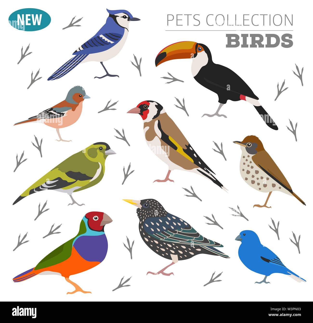 Bird breeds top