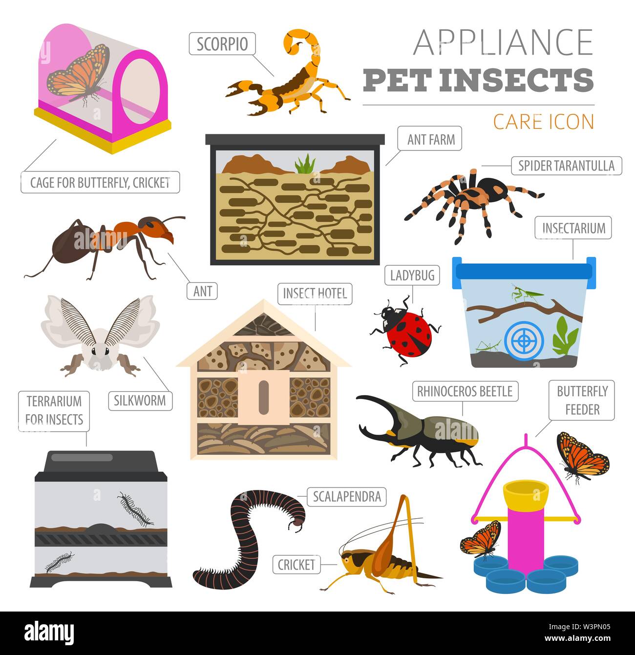 Pet appliance icon set flat style isolated on white. Insects care collection. Create own infographic about beetle, bug, butterfly, stick, mantis, spid Stock Vector
