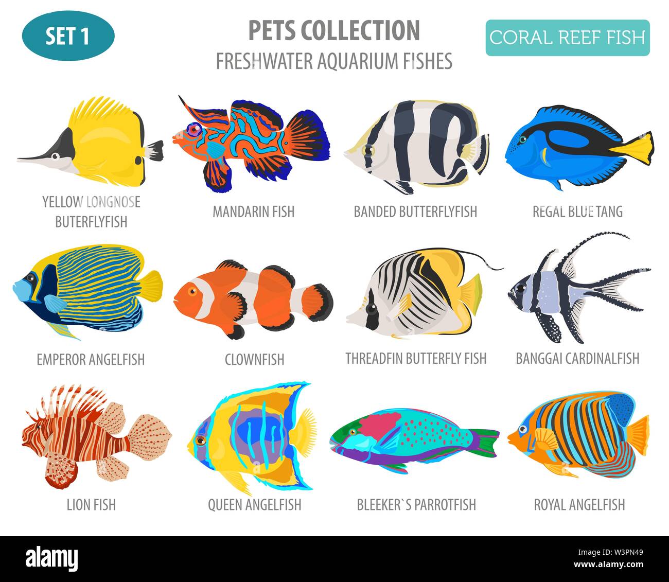 Freshwater aquarium fish breeds icon set flat style isolated on white. Coral reef. Create own infographic about pet. Vector illustration Stock Vector