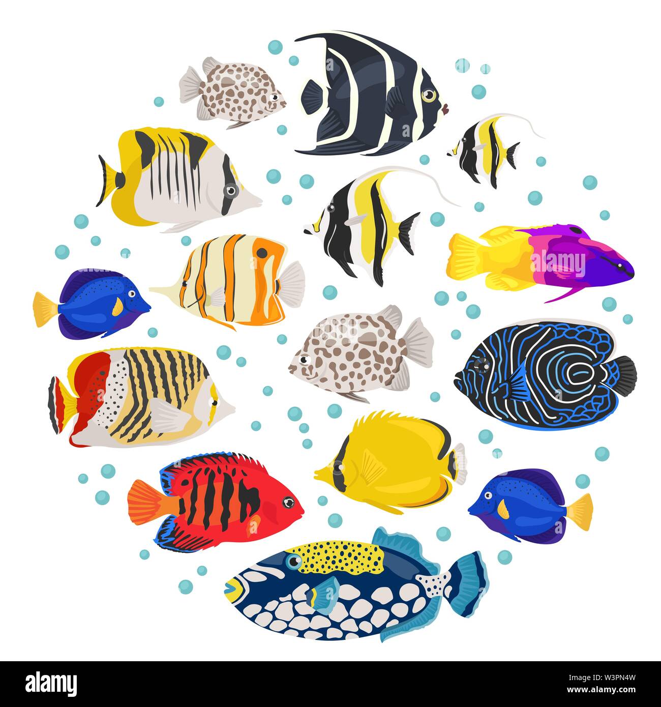 Freshwater aquarium fish breeds icon set flat style isolated on white. Coral reef. Create own infographic about pet. Vector illustration Stock Vector