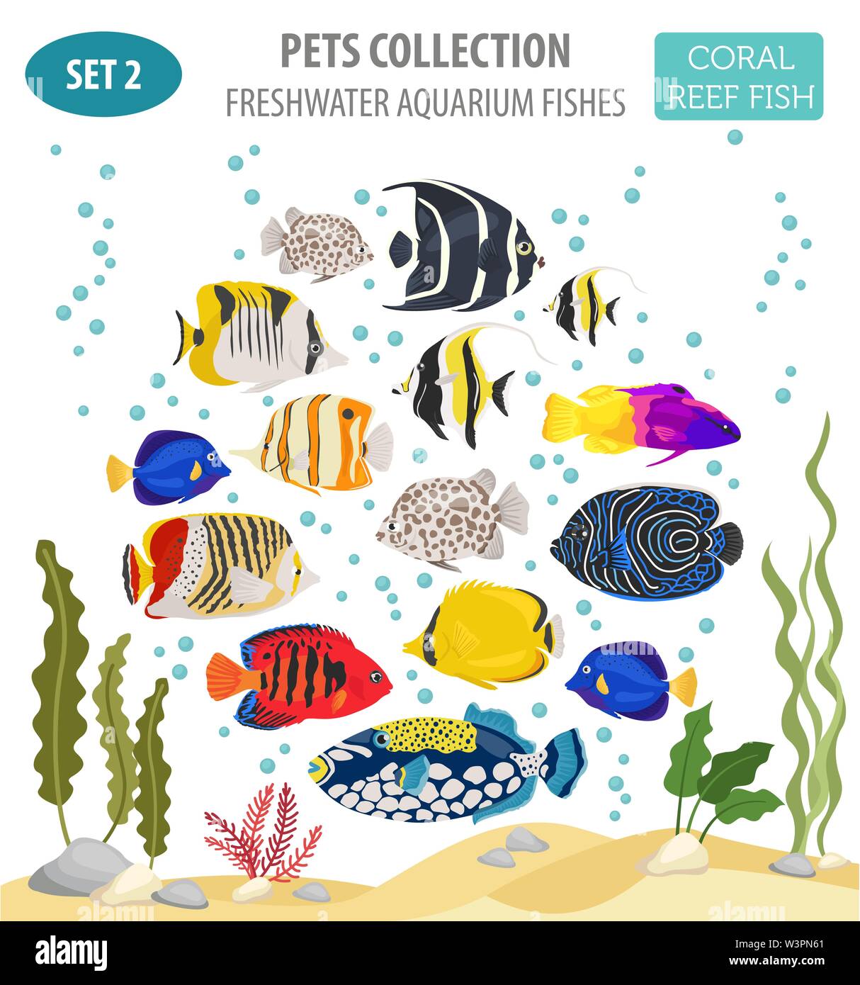 Freshwater aquarium fish breeds icon set flat style isolated on white. Coral reef. Create own infographic about pet. Vector illustration Stock Vector