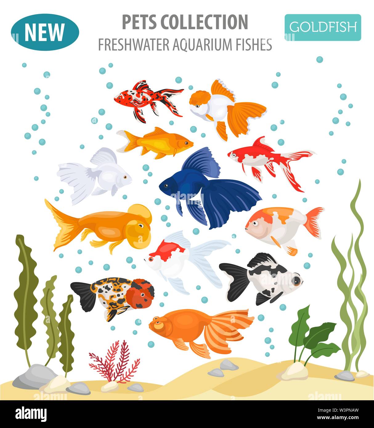 Freshwater aquarium fishes breeds icon set flat style isolated on white. Goldfish. Create own infographic about pets. Vector illustration Stock Vector