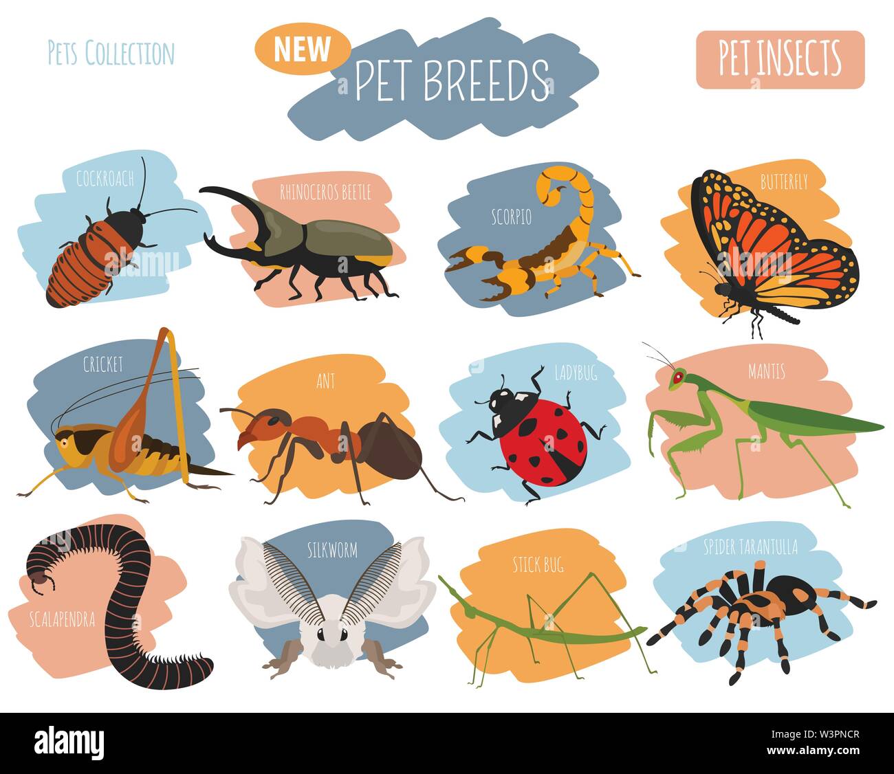 Pet insects breeds icon set flat style isolated on white. House keeping bugs, beetles, sticks, spiders and other collection. Create own infographic ab Stock Vector