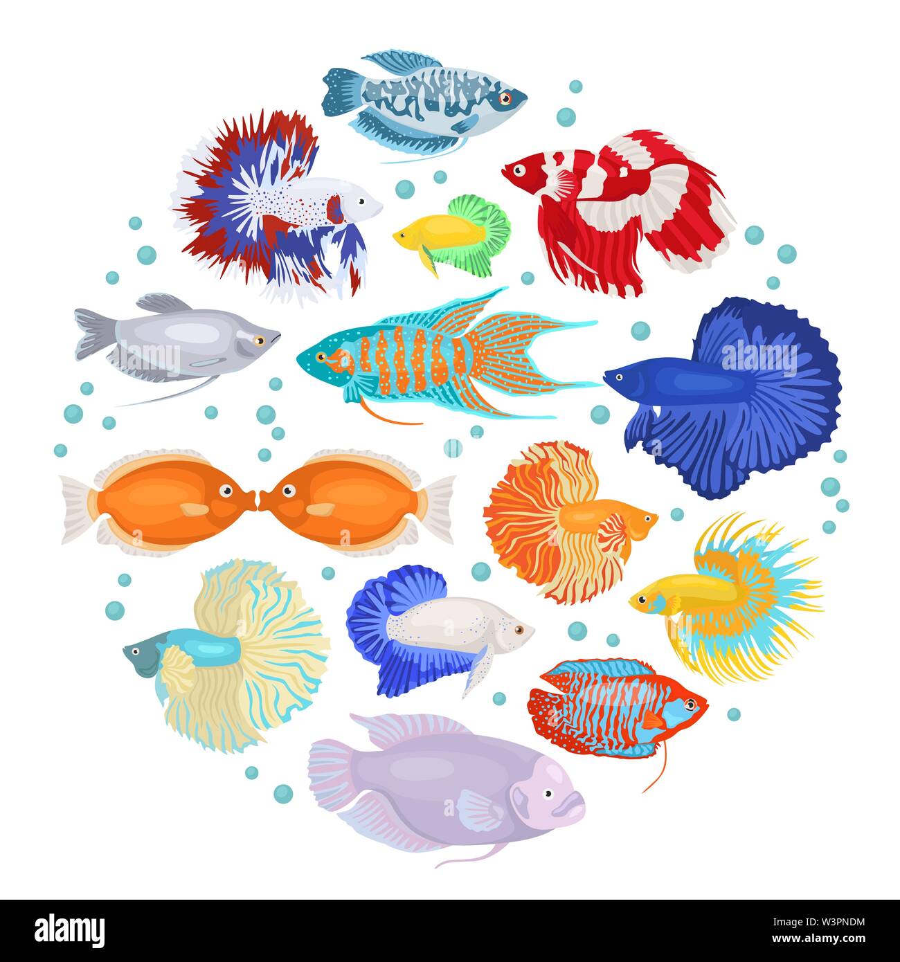 Freshwater aquarium fishes breeds icon set flat style isolated on white. Labyrinth fishes: betta, gourami. Create own infographic about pets. Vector i Stock Vector