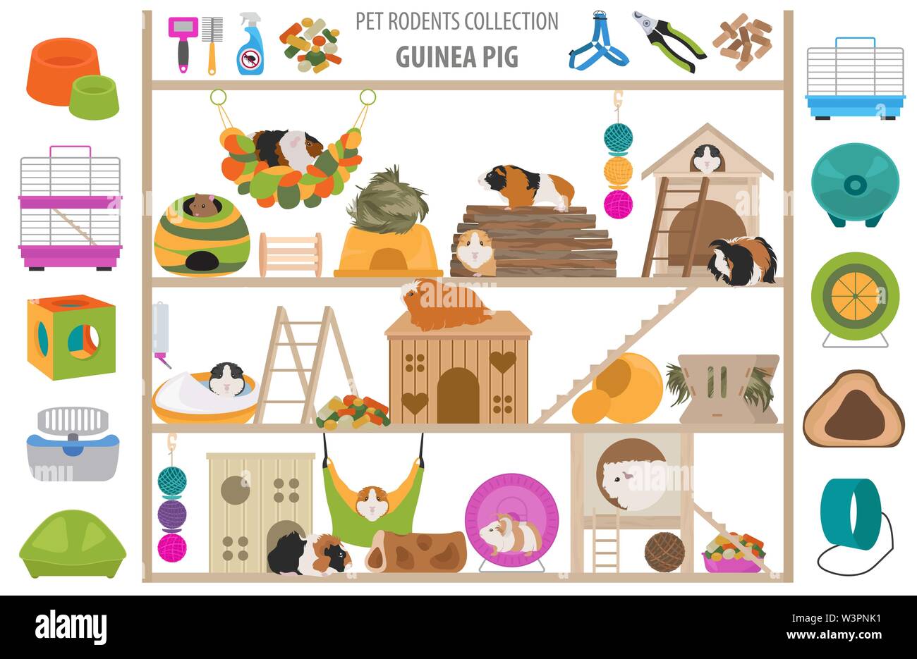 Pet rodents home accessories icon set flat style isolated on white ...