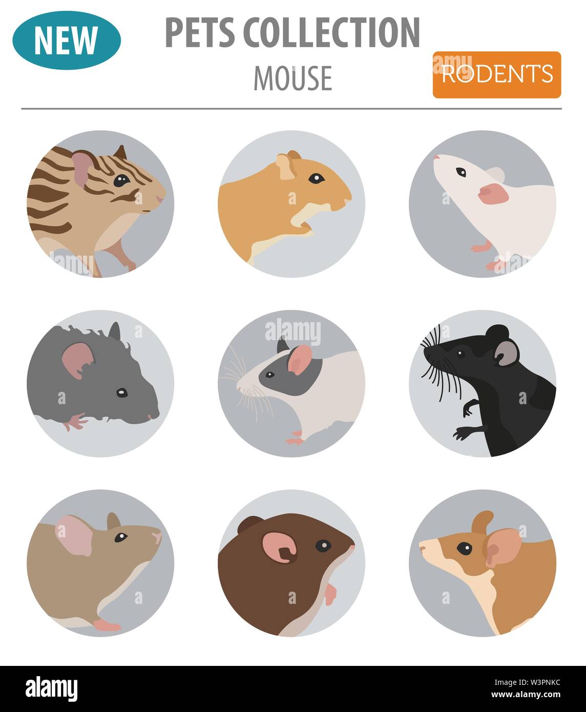 Mice breeds icon set flat style isolated on white. Mouse rodents collection. Create own infographic about pets. Vector illustration Stock Vector