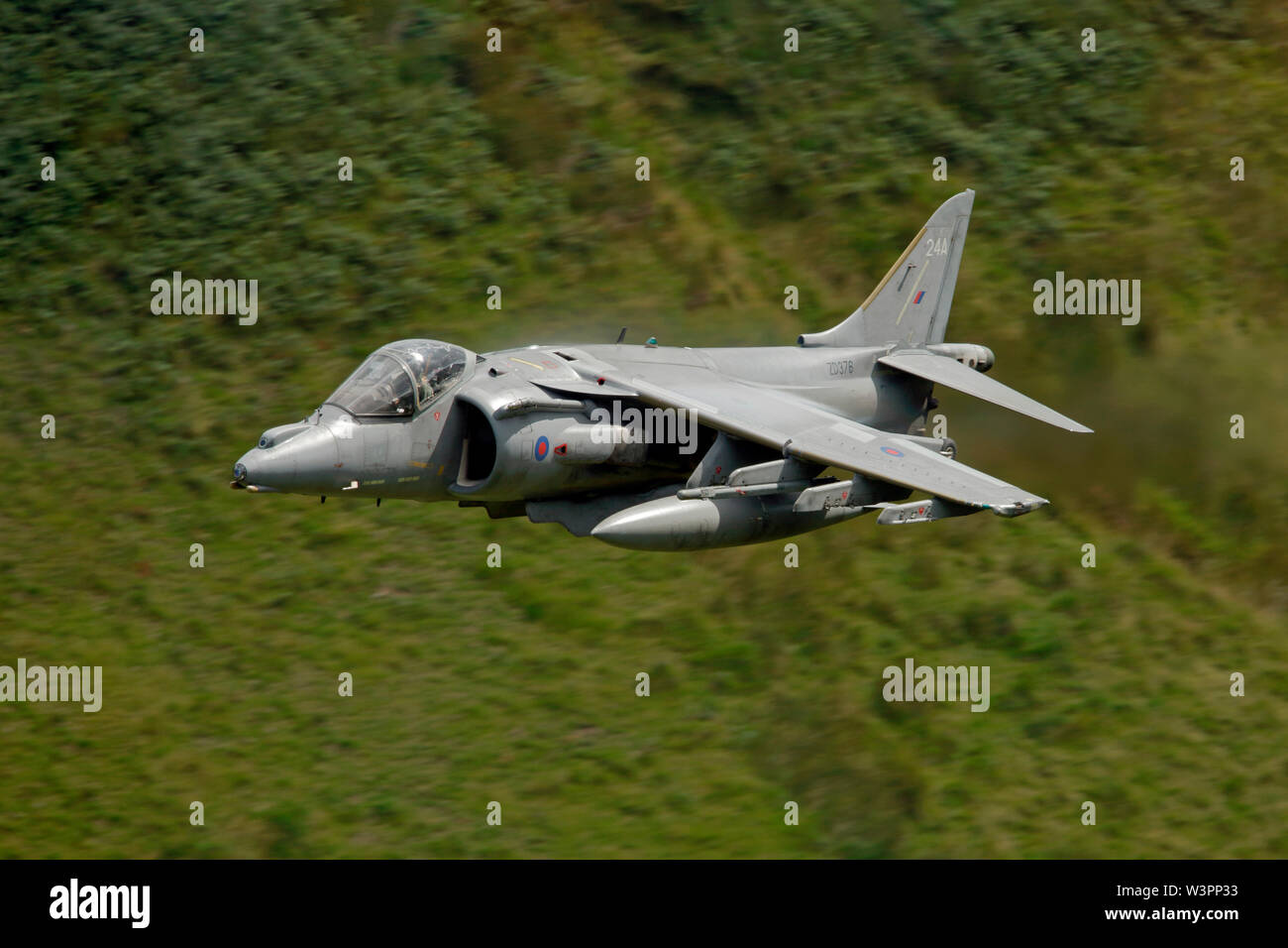 BAE Systems Harrier GR7A ZD376 24A  low-level in the Welsh military training area LFA7 known as the Mach Loop, Dolgellau, Wales. Stock Photo