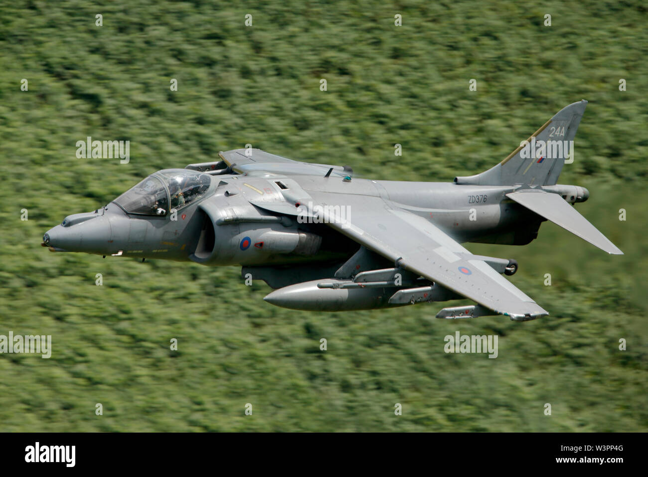 BAE Systems Harrier GR7A ZD376 24A  low-level in the Welsh military training area LFA7 known as the Mach Loop, Dolgellau, Wales. Stock Photo