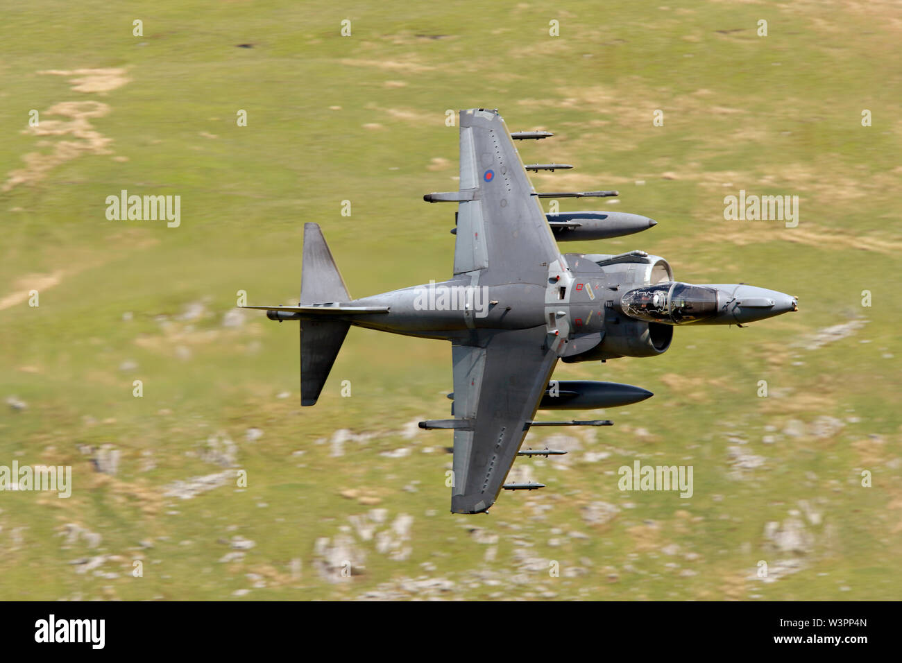 BAe Harrier GR9 ZD379 4 Sqn RAF Cottesmore low-level in the Welsh military training area LFA7 known as the Mach Loop, Dolgellau, Wales. Stock Photo