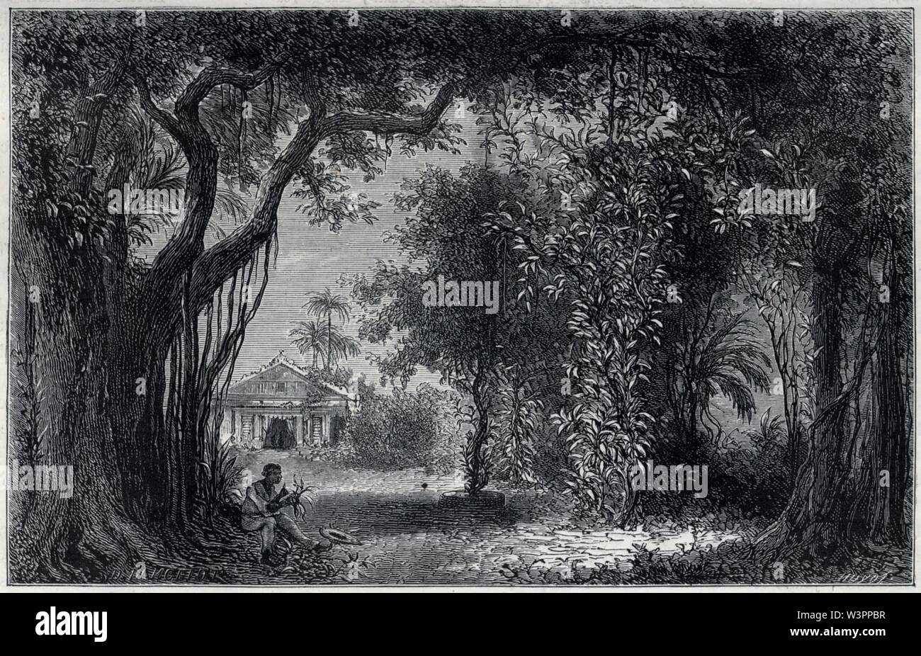Le vanillier hi-res stock photography and images - Alamy