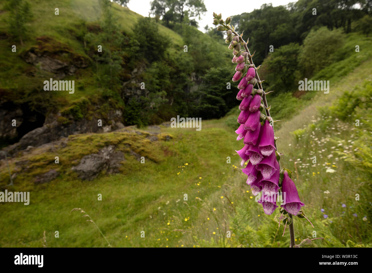 Penines hi-res stock photography and images - Alamy