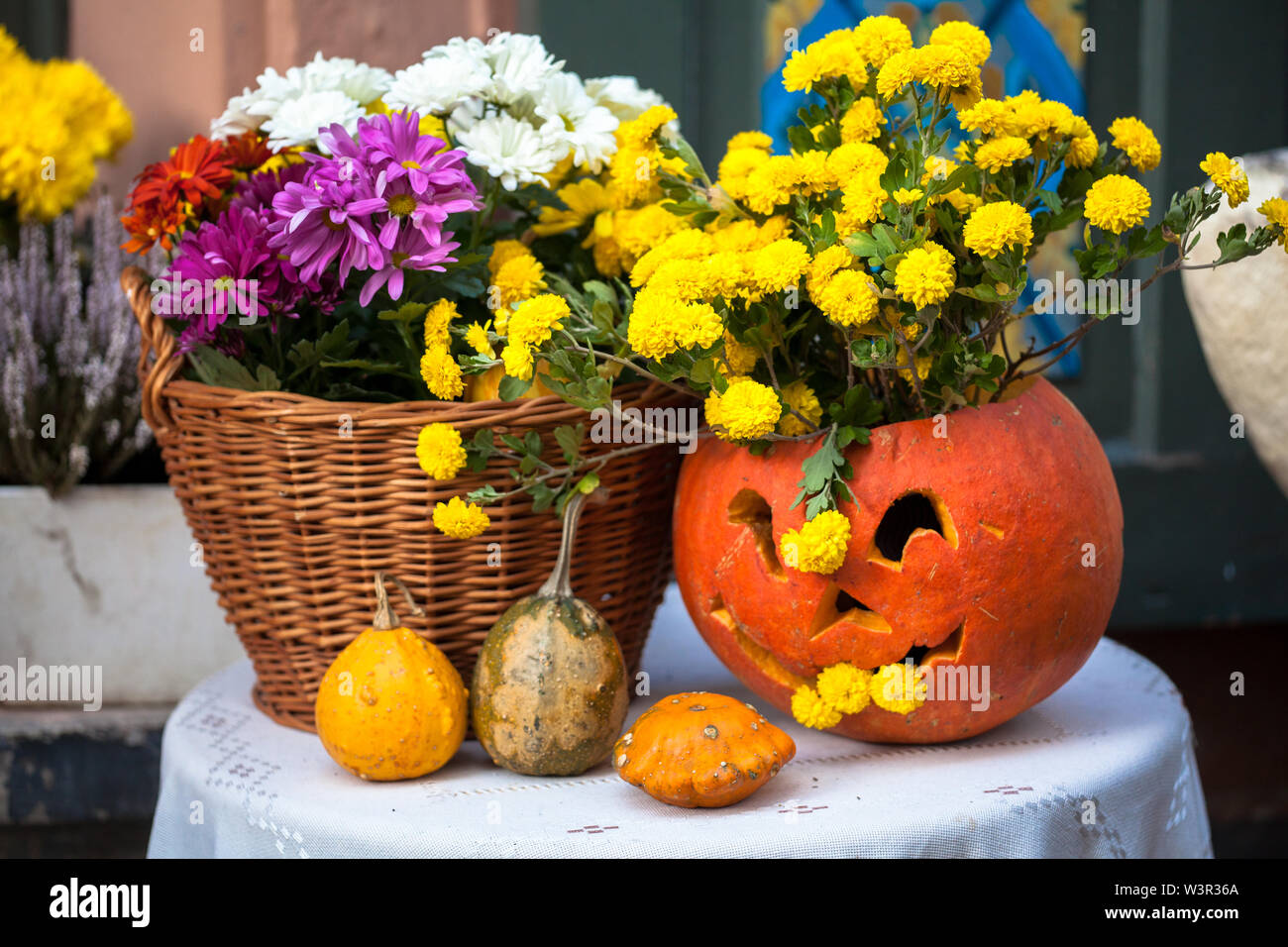 Autumn decoration with pumpkins and flowers on a street in a European city. Harvest of pumpkin. Stock Photo