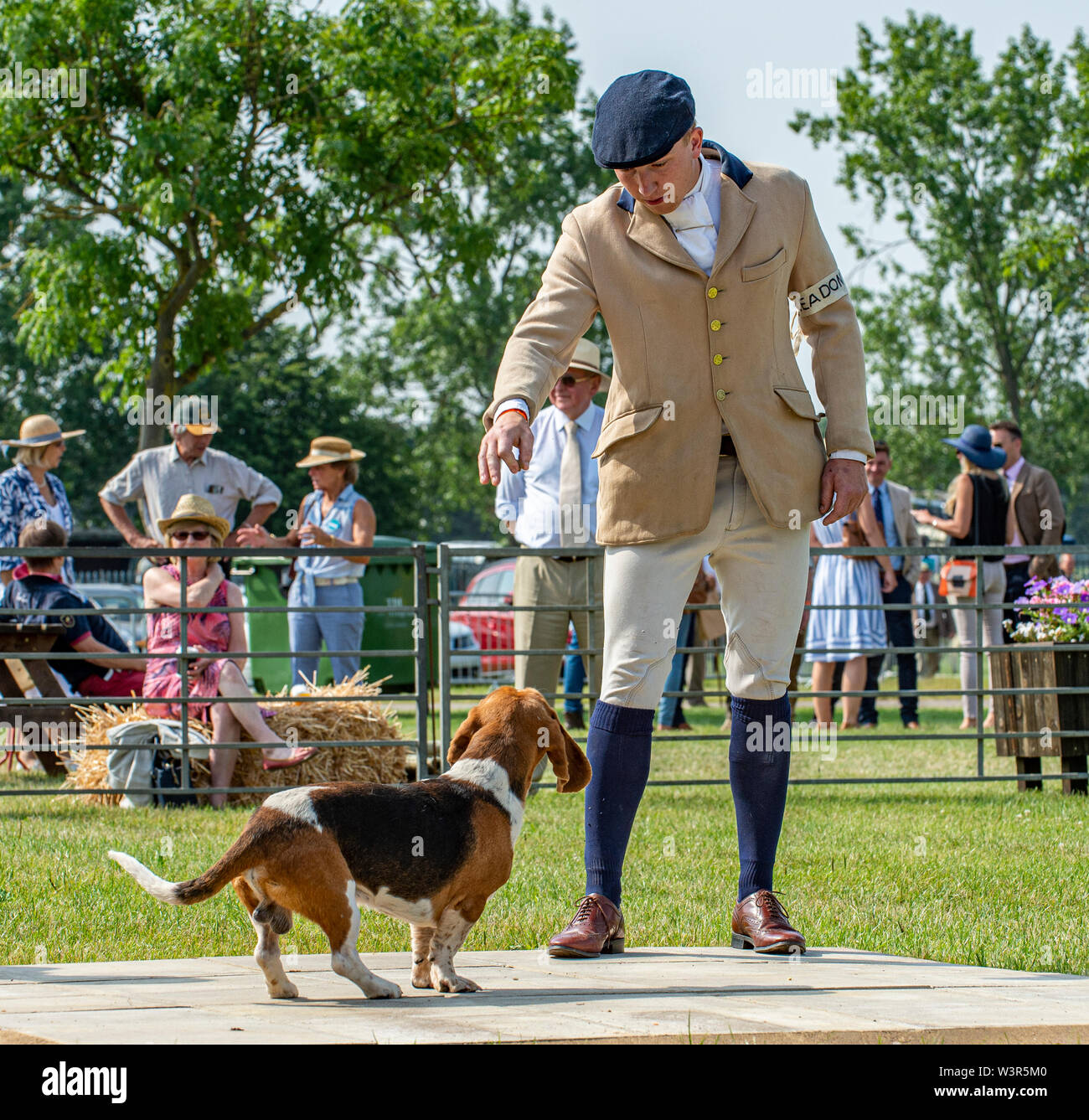 The annual Festival of Hunting is a one-day event boasting the greatest gathering of hounds in the country. Harriers, Beagles, Basset Hounds, Draghounds and Bloodhounds will be competing along with displays of fell hounds, coursing dogs, and the popular Sealey Terriers. Credit: Matt Limb OBE/Alamy Live News Stock Photo