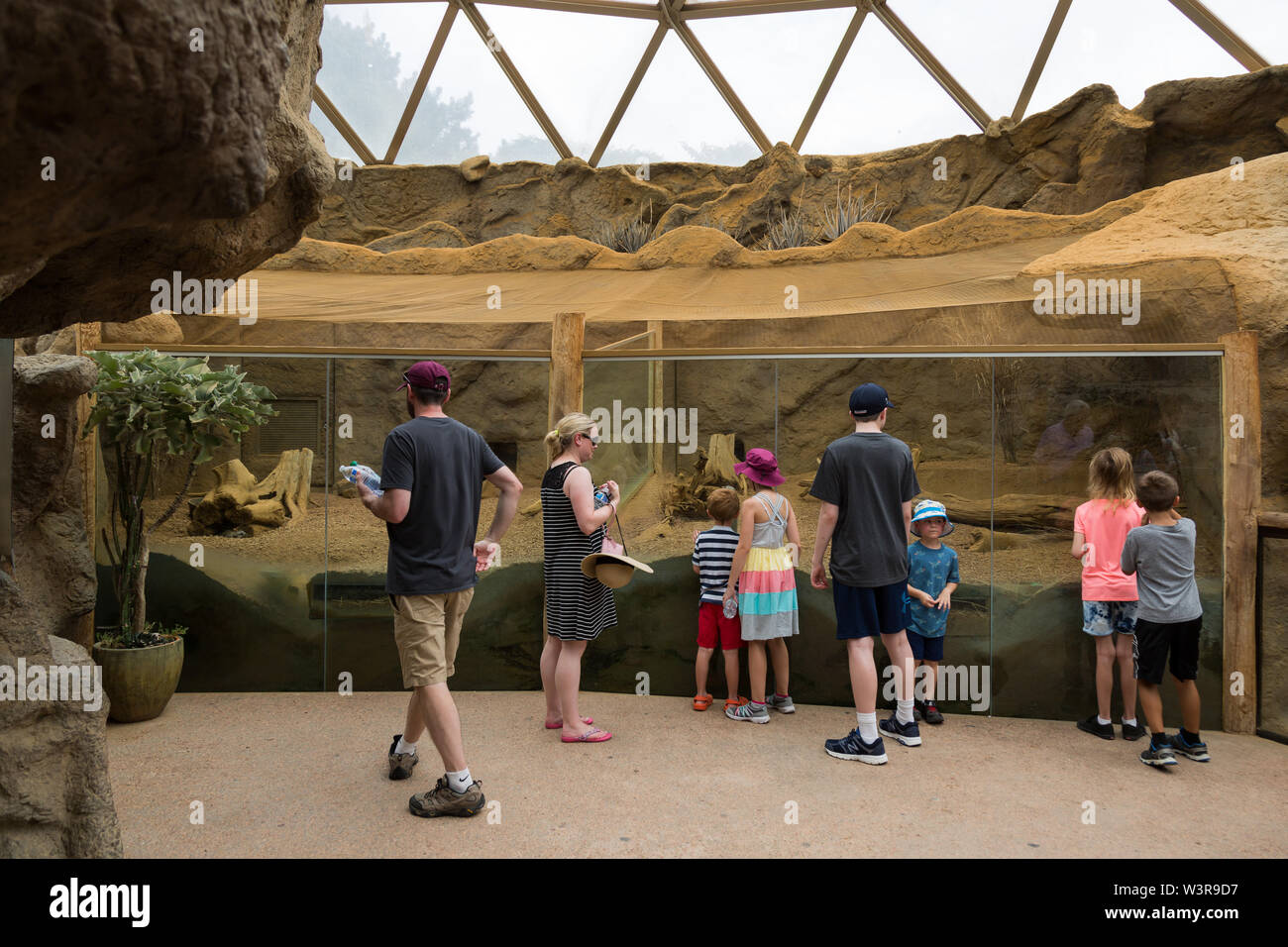 Visitors gather to see the meerkat exhibit at the Indianapolis Zoo. Stock Photo