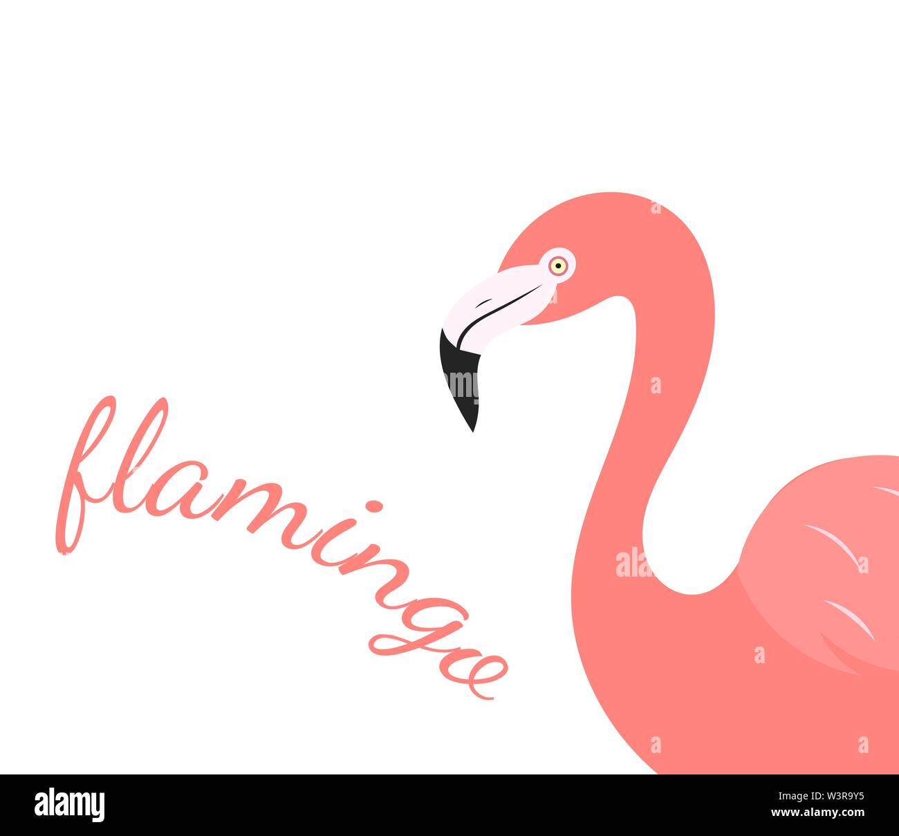 Flamingo bird portrait over white background. Vector illustration Stock ...