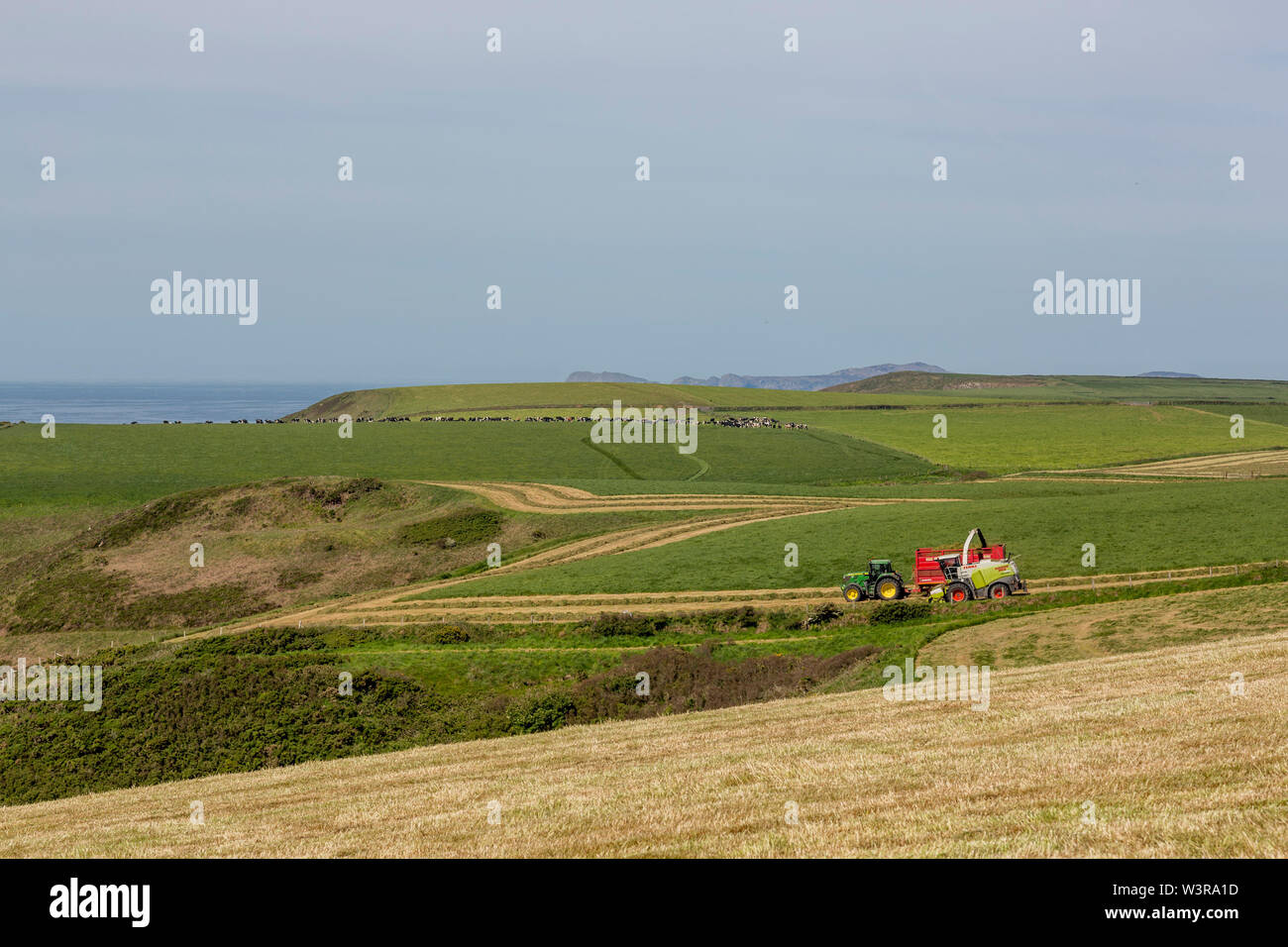 Forage Wagon High Resolution Stock Photography and Images Alamy