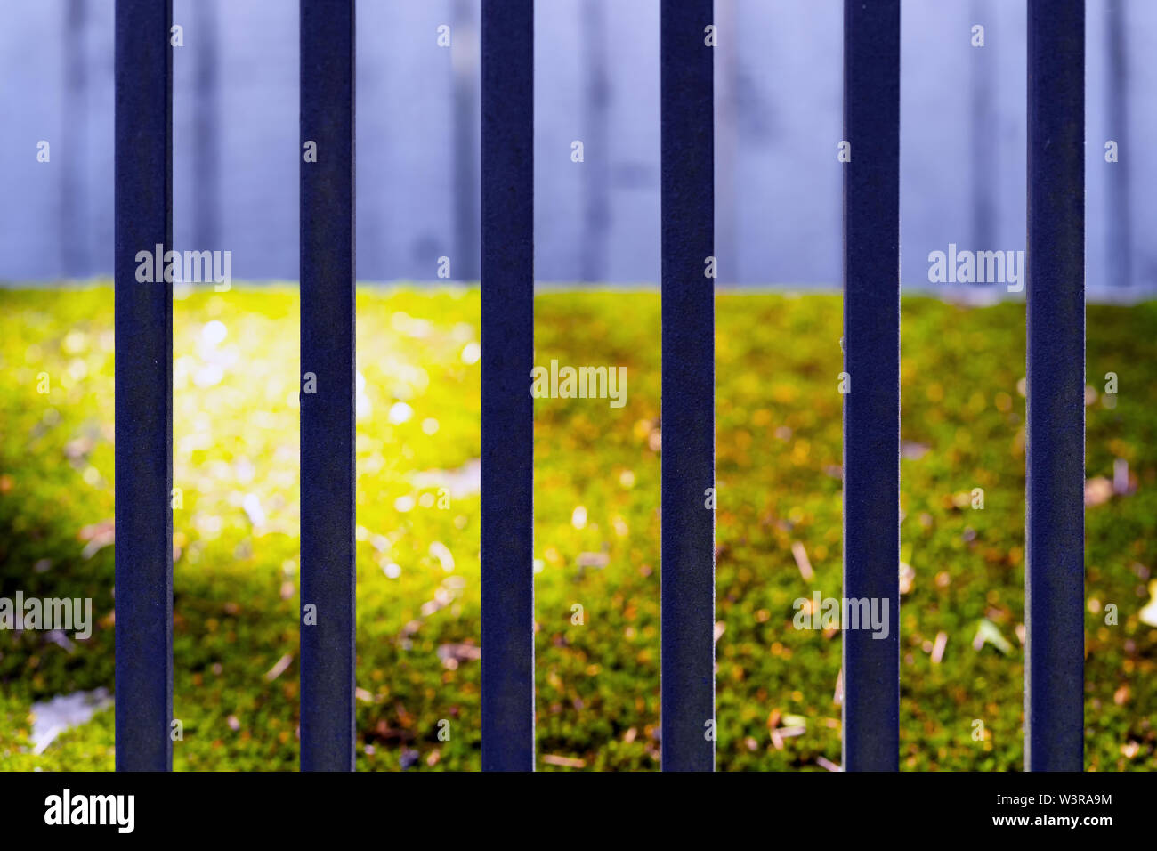 Green grass lit by the sun behind a metal vertical fence Stock Photo ...