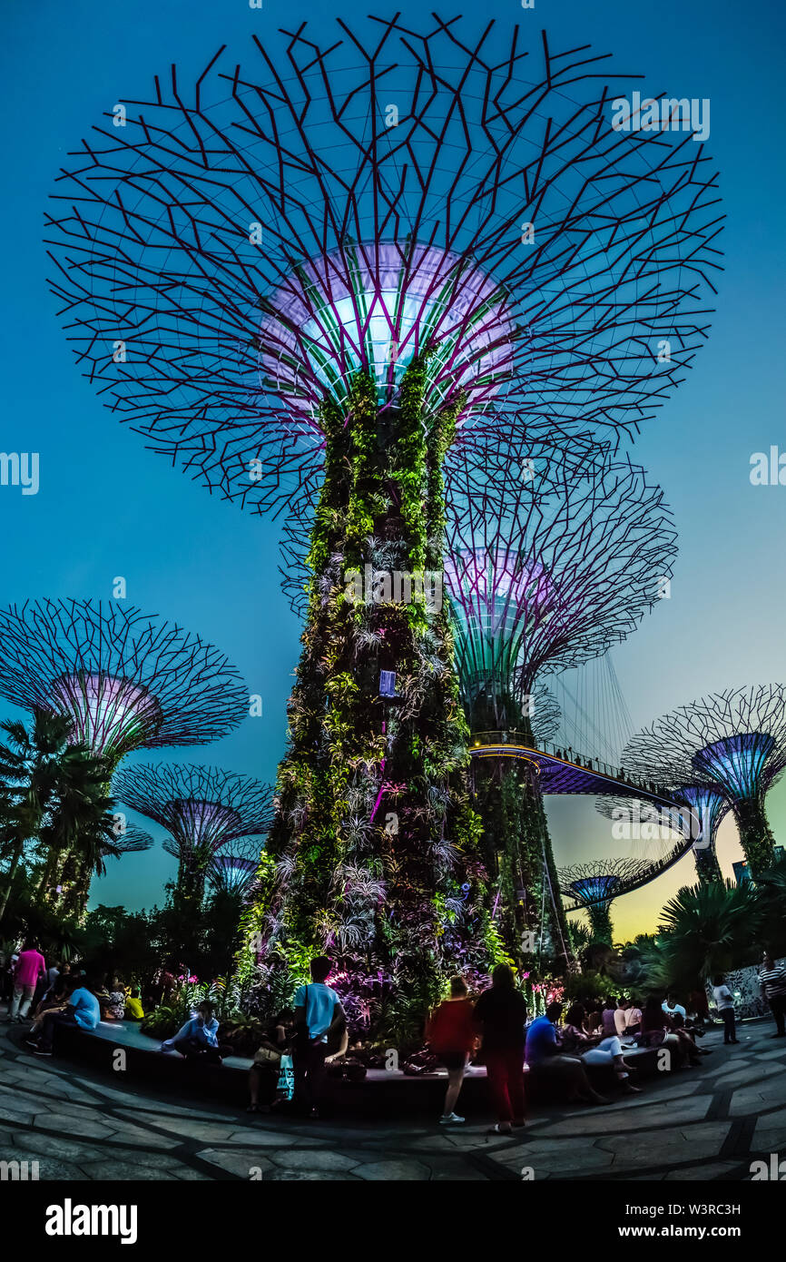 Singapore - Mar 15, 2019: Supertree Grove Singapore. Designed to mirror the form and function of mature trees, most come with environmentally sustaina Stock Photo