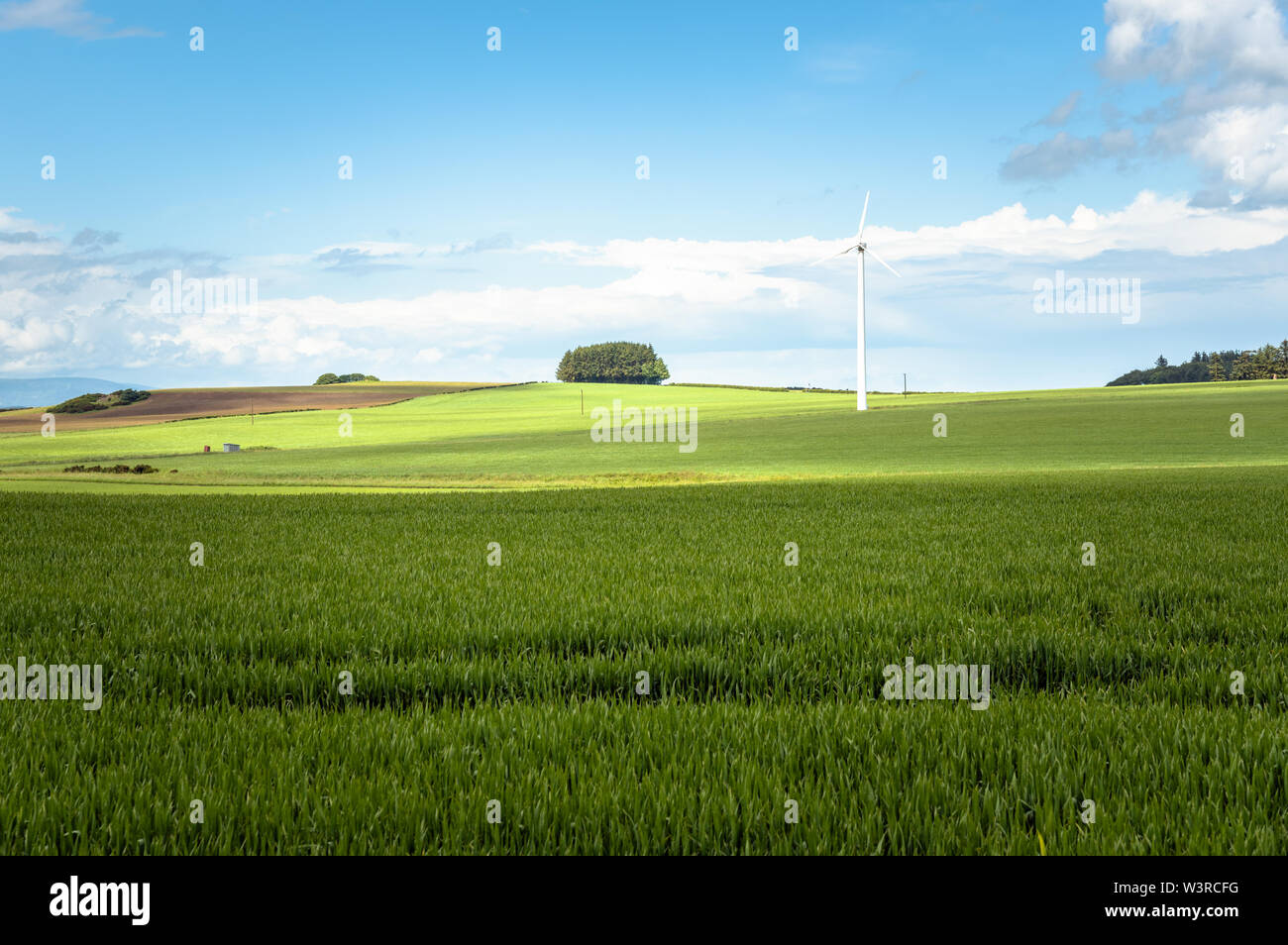 Wind turbine in a rolling rural landscape under blue sky with clouds Stock Photo