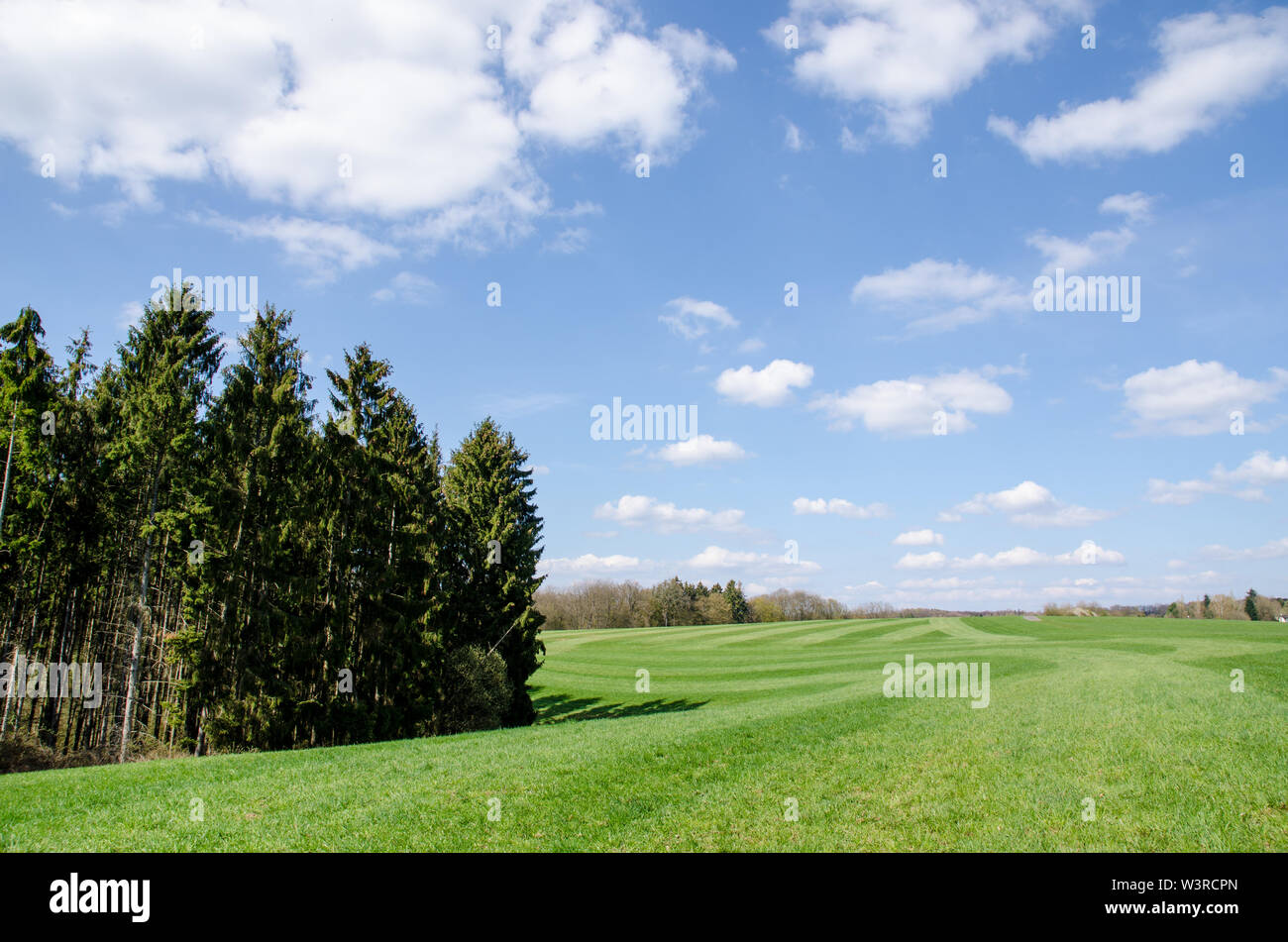 Forest landscape in the countryside in Bavaria, Germany Stock Photo - Alamy