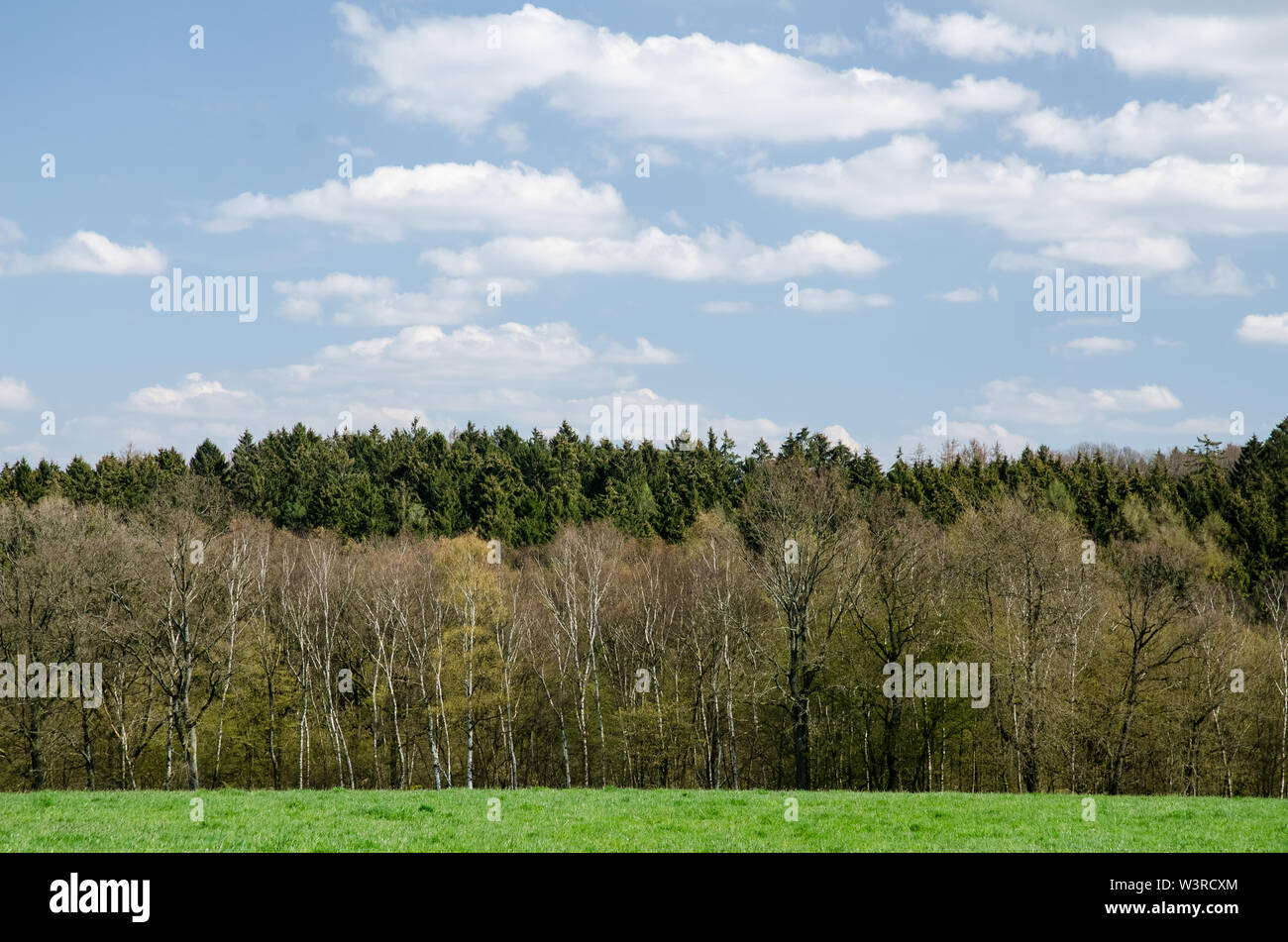 Forest landscape in the countryside in Bavaria, Germany Stock Photo - Alamy