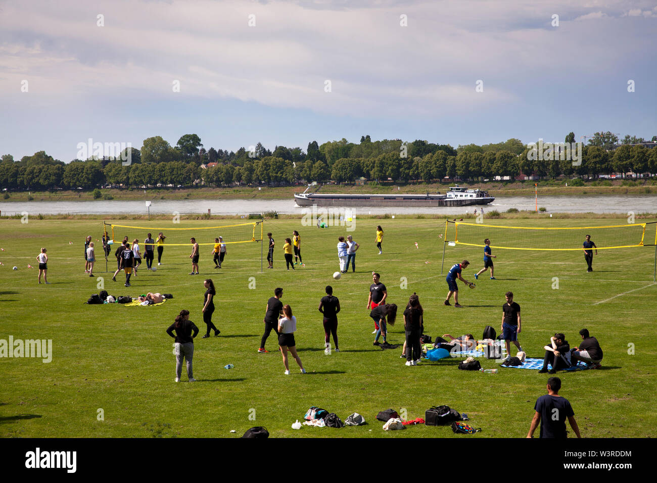 young people playing sports on the Rhine meadows in the district Poll, Cologne, Germany.  Jugendliche beim Sport auf den Rheinwiesen in Poll, Koeln, D Stock Photo