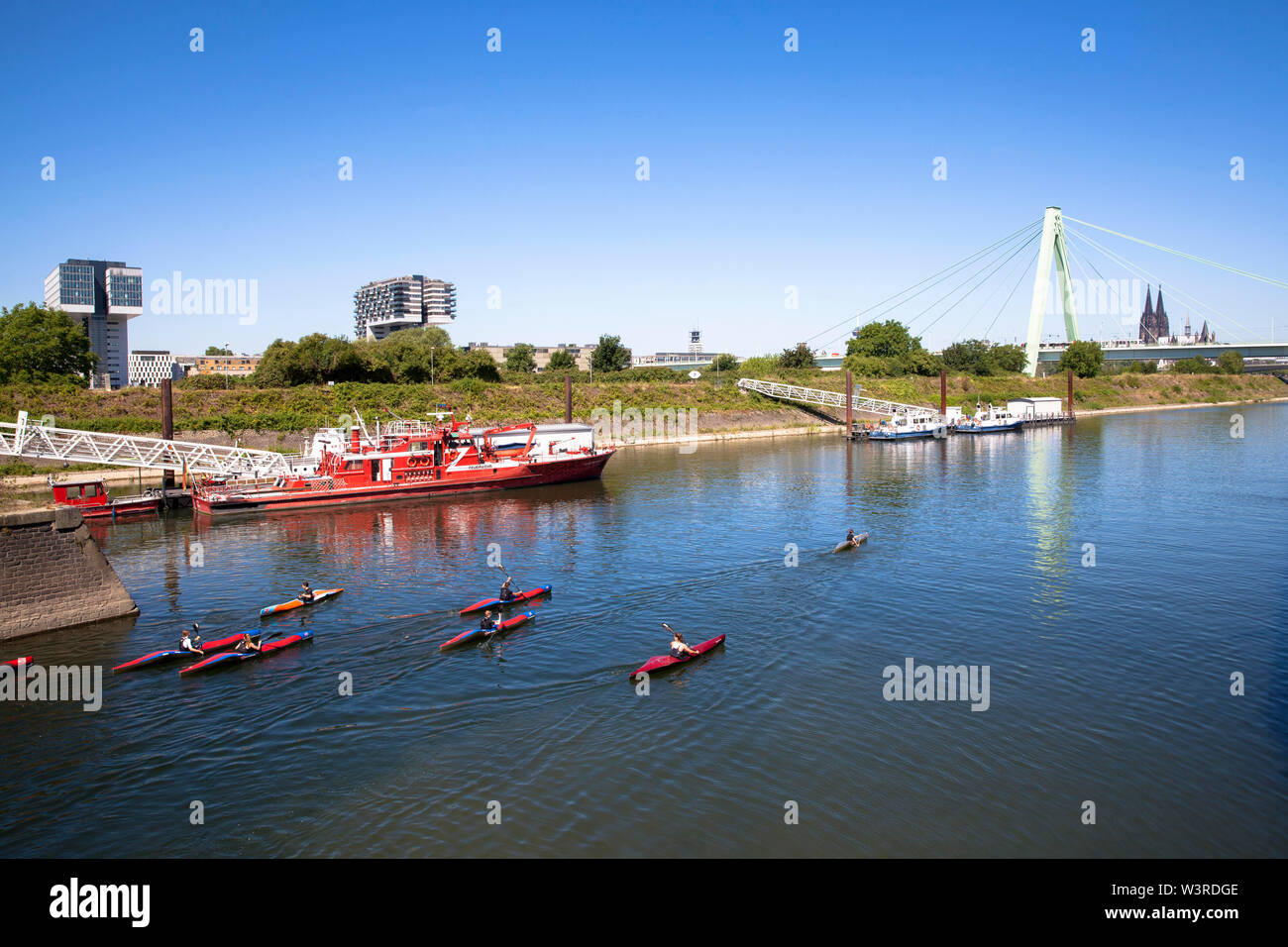 the harbor in the district Deutz, Severins bridge across the river Rhine, the cathedral, kayakers, Cologne, Germany.  Deutzer Hafen, Severinsbruecke, Stock Photo