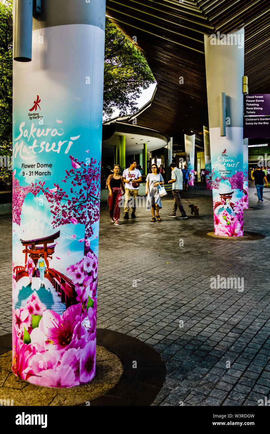 Singapore - May 15, 2019: Sakura Matsuri , the popular cherry blossom festival at Gardens by the Bay. Stock Photo