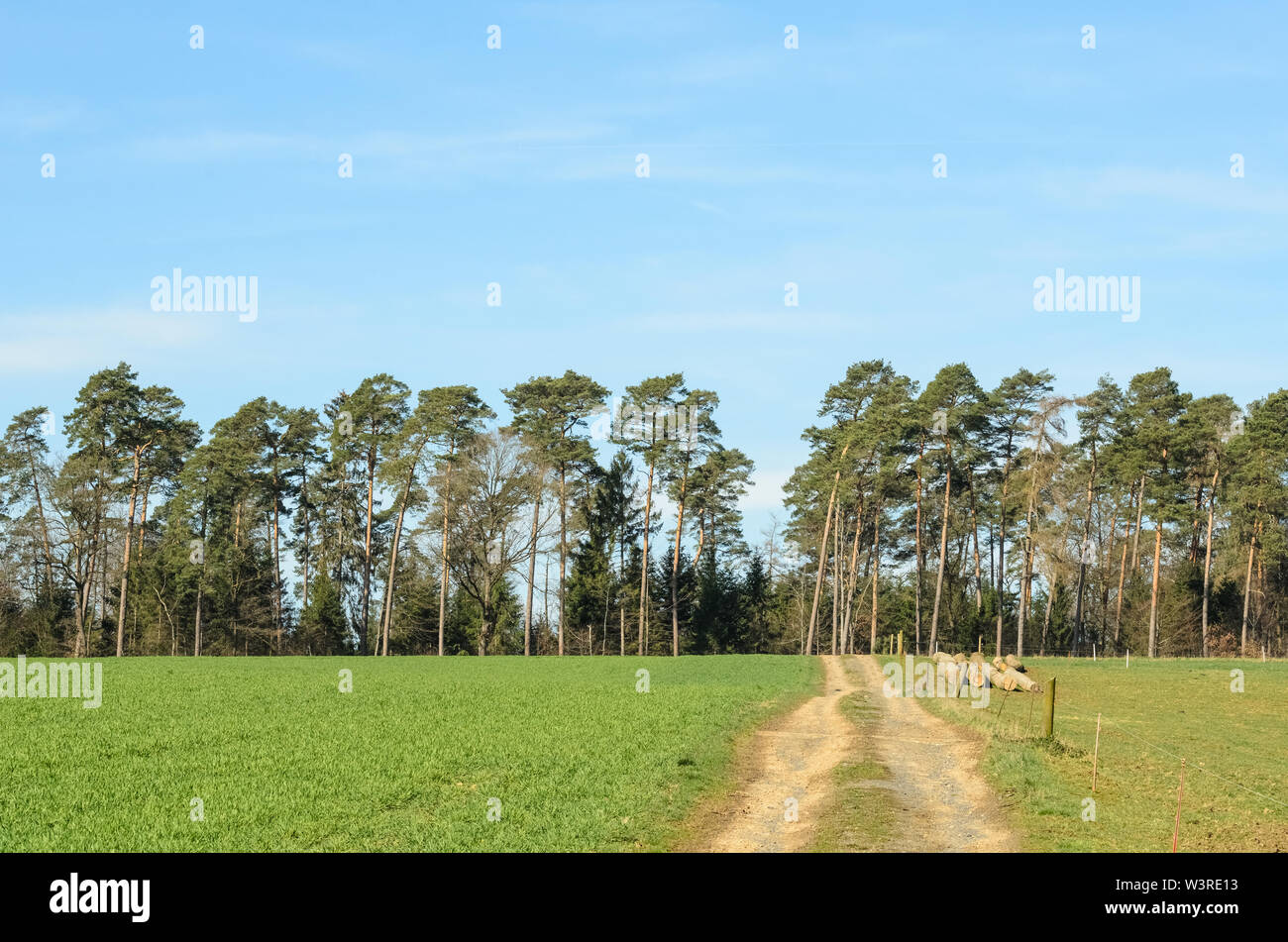 Forest landscape in the countryside in Bavaria, Germany Stock Photo - Alamy