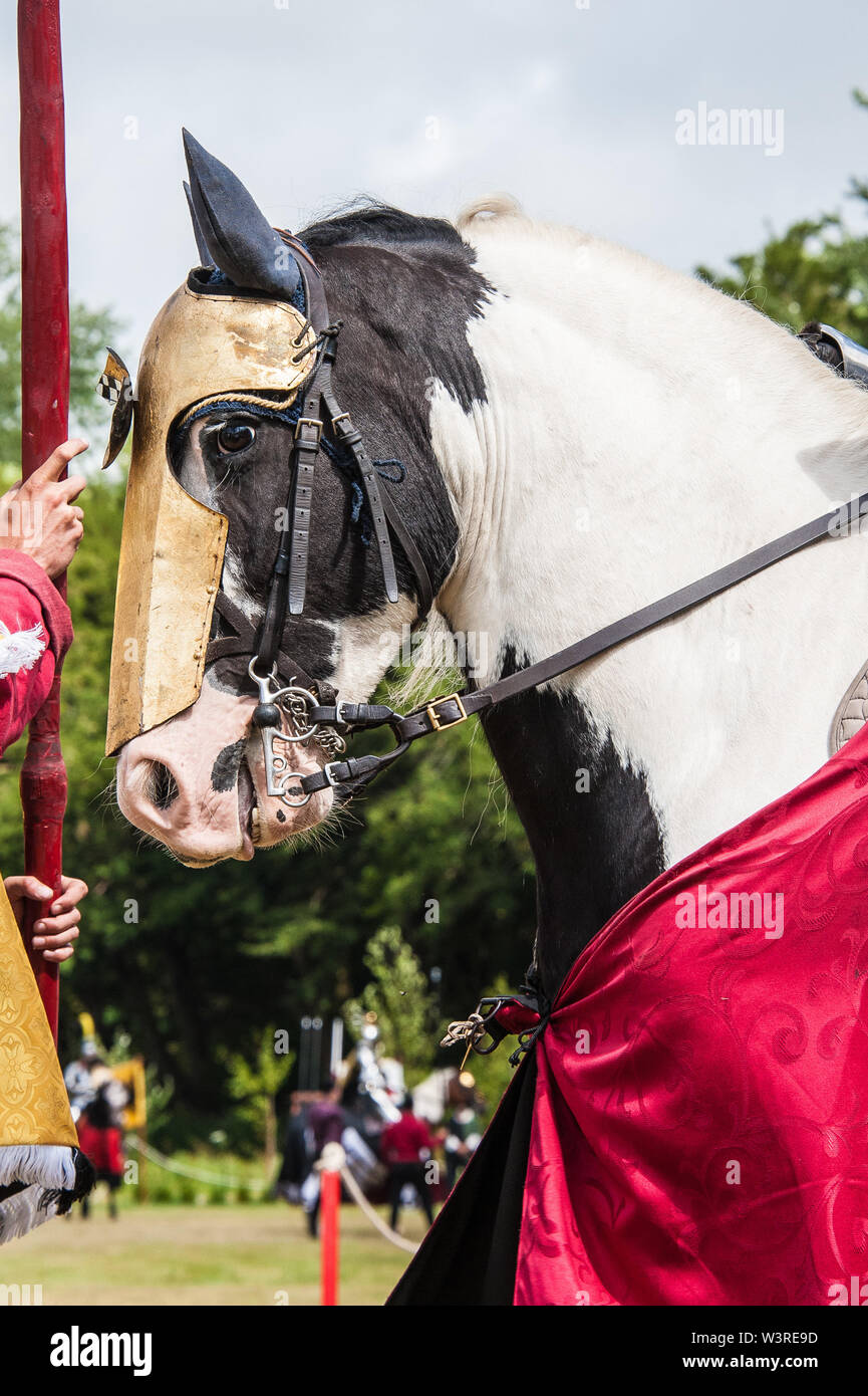 Horse head armour hires stock photography and images Alamy