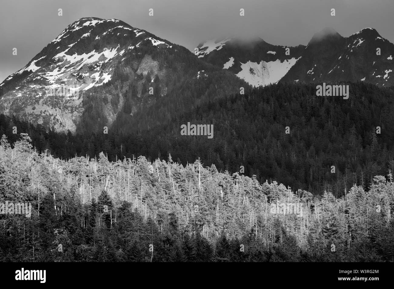 Coastline of Sitka Sound, Sitka, Alaska, USA Stock Photo Alamy