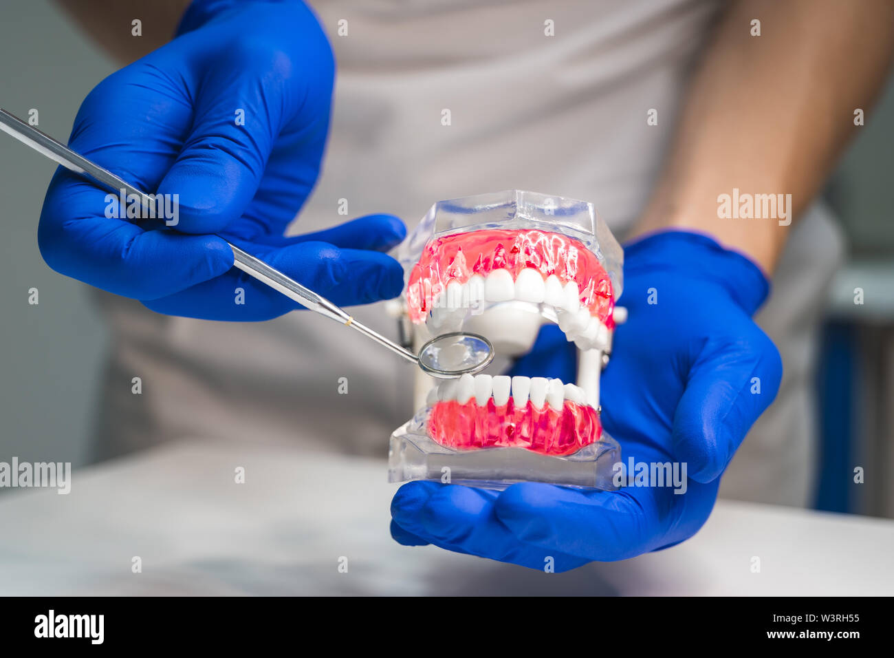 dentist wearing medical gloves holding jaw model in one hand and