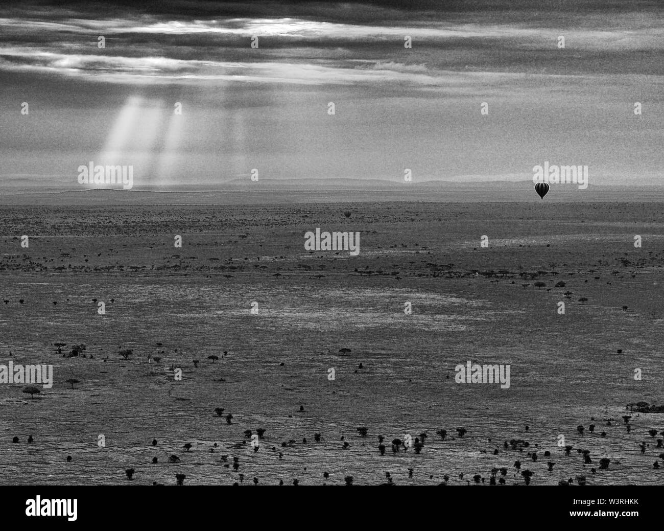 Views of the Serengeti Park from a hot air balloon aerial ride including migrations of wildebeest shot in June, 2019 Stock Photo