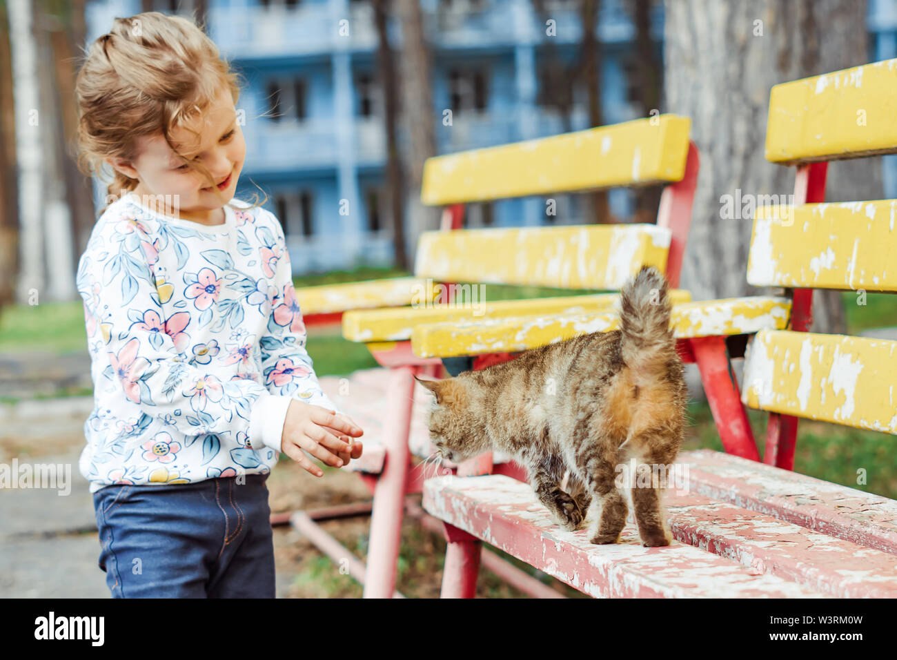 little girl playing with cat Stock Photo - Alamy