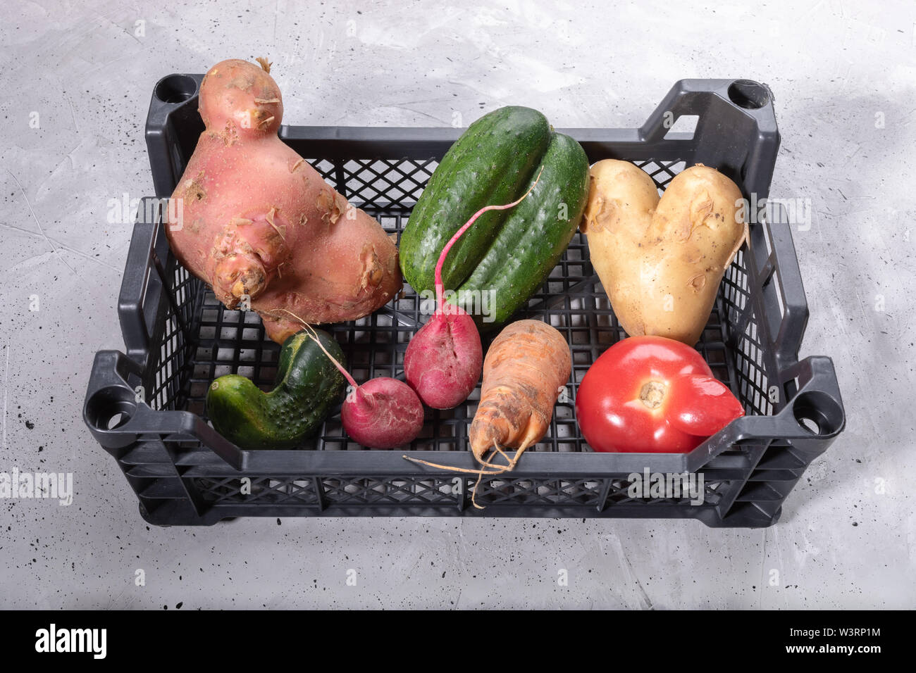 Close-up set of ripe ugly vegetables in plastic box on grey concrete background. Stock Photo