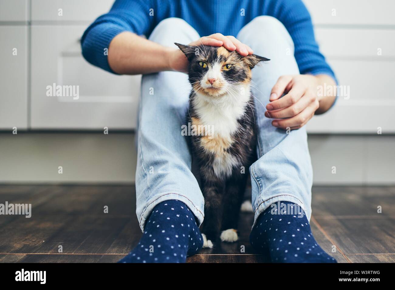 Domestic life with pet. Young man siiting on floor in home kitchen and stroking his cute cat. Stock Photo