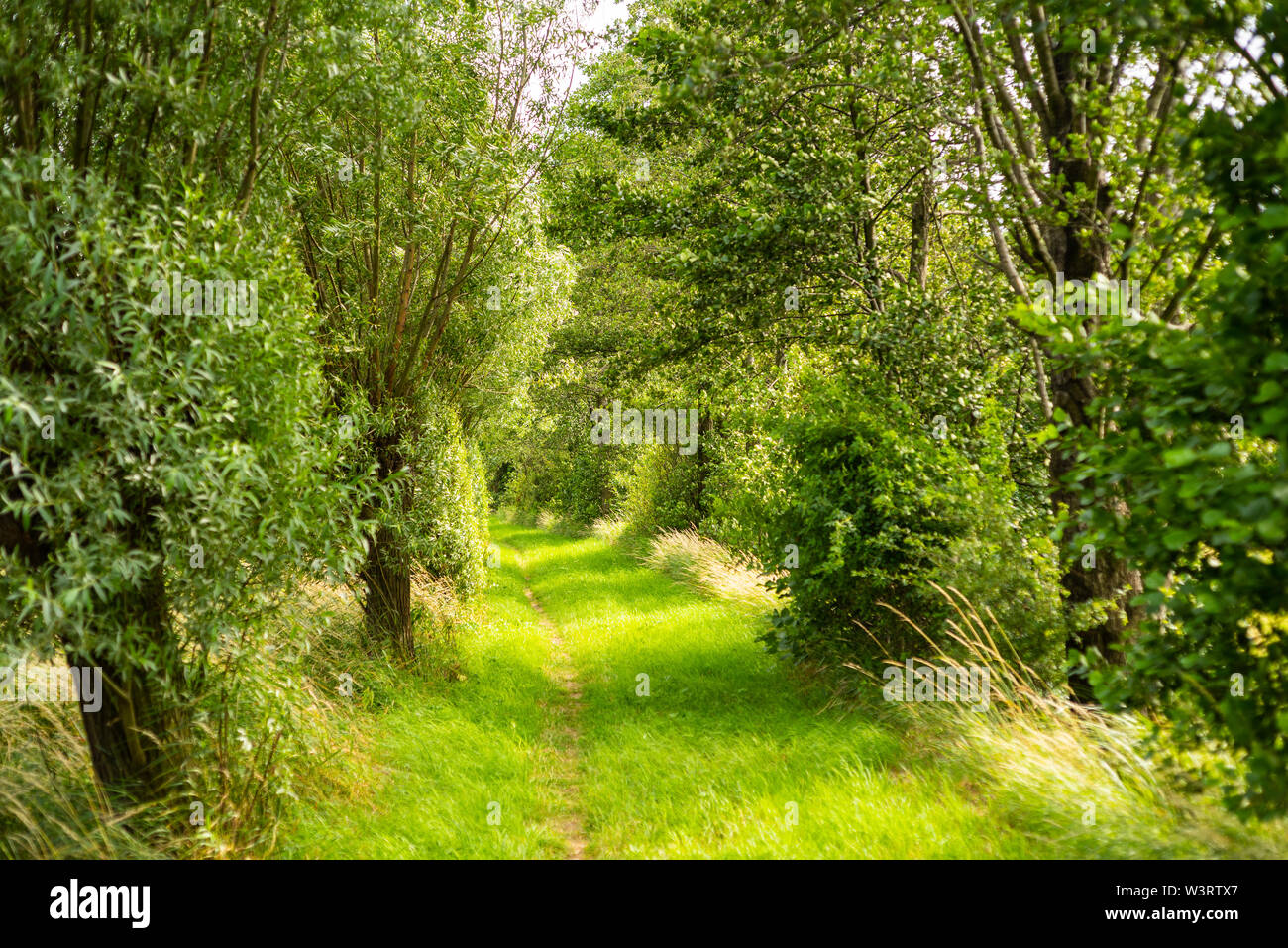 while hiking a wonderful view of nature Stock Photo