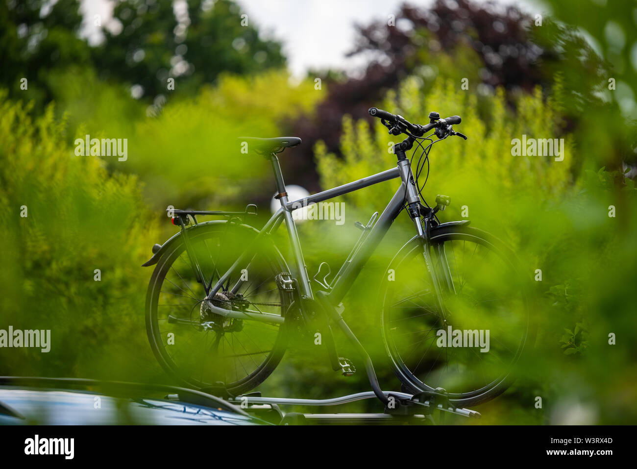 Bicycle Woman Sommer High Resolution Stock Photography and Images - Alamy