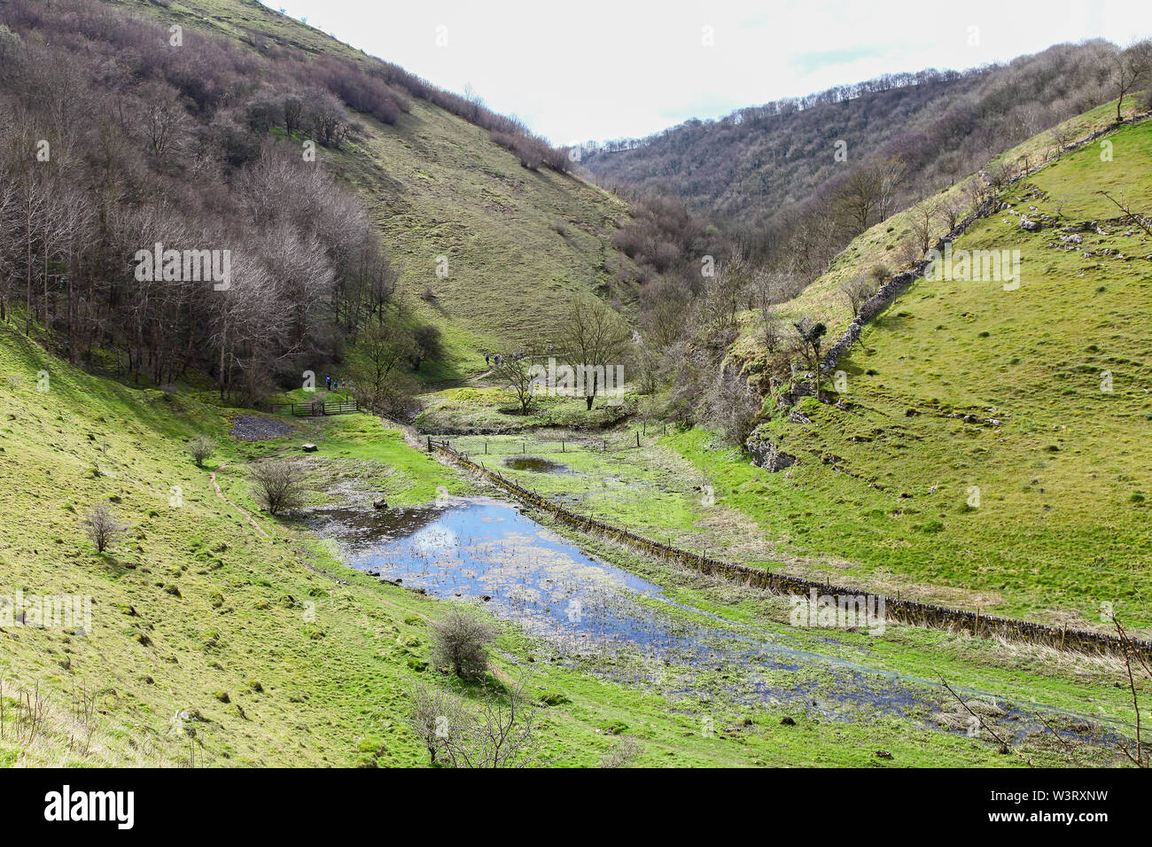 The flooded stream running through Cressbrook Dale, Derbyshire, England ...