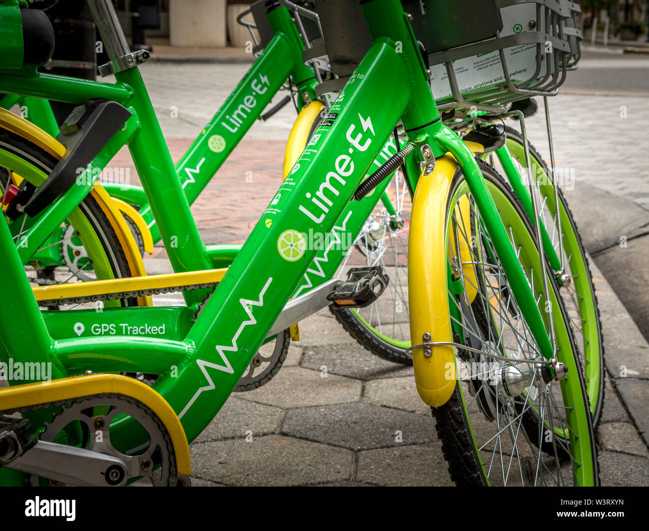 limebike stock name