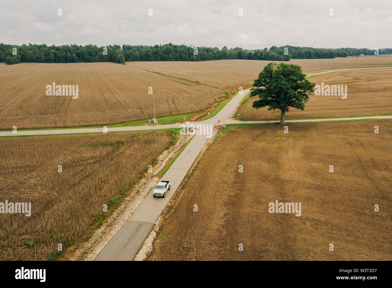 Pickup truck on country road Stock Photo