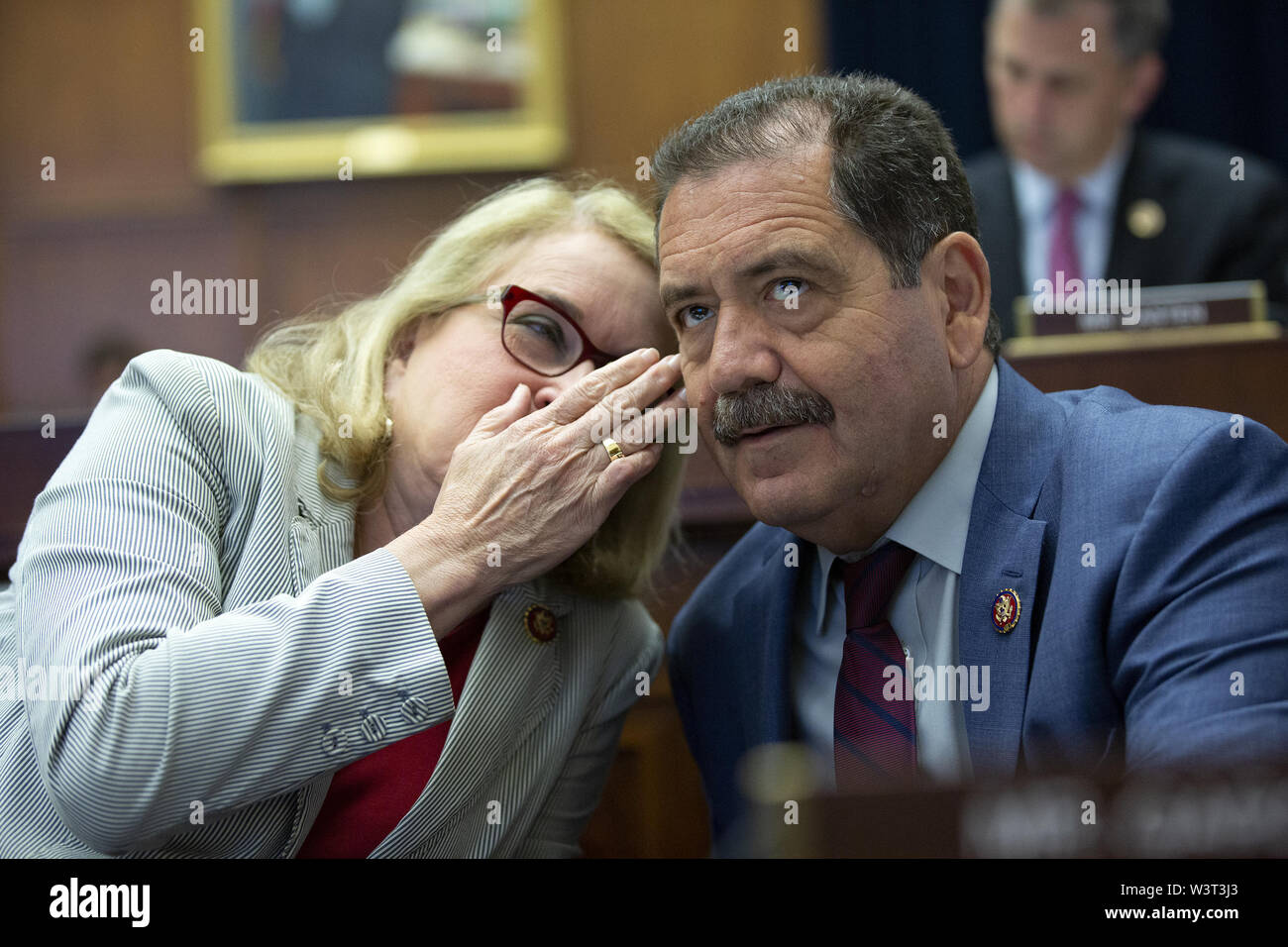 Washington, District of Columbia, USA. 17th July, 2019. United States  Representative Sylvia Garcia (Democrat of Texas) speaks to United States  Representative Chuy Garcia (Democrat of Illinois) during the House  Committee on Financial